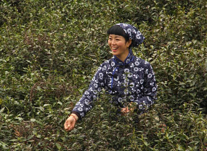 最新